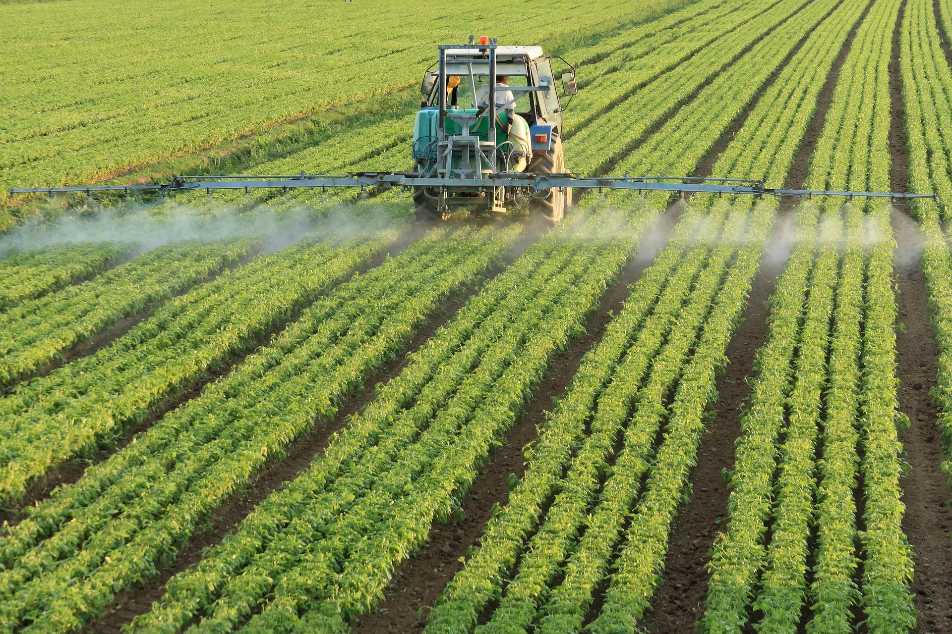 Landwirtschaft und Personalvermittlung